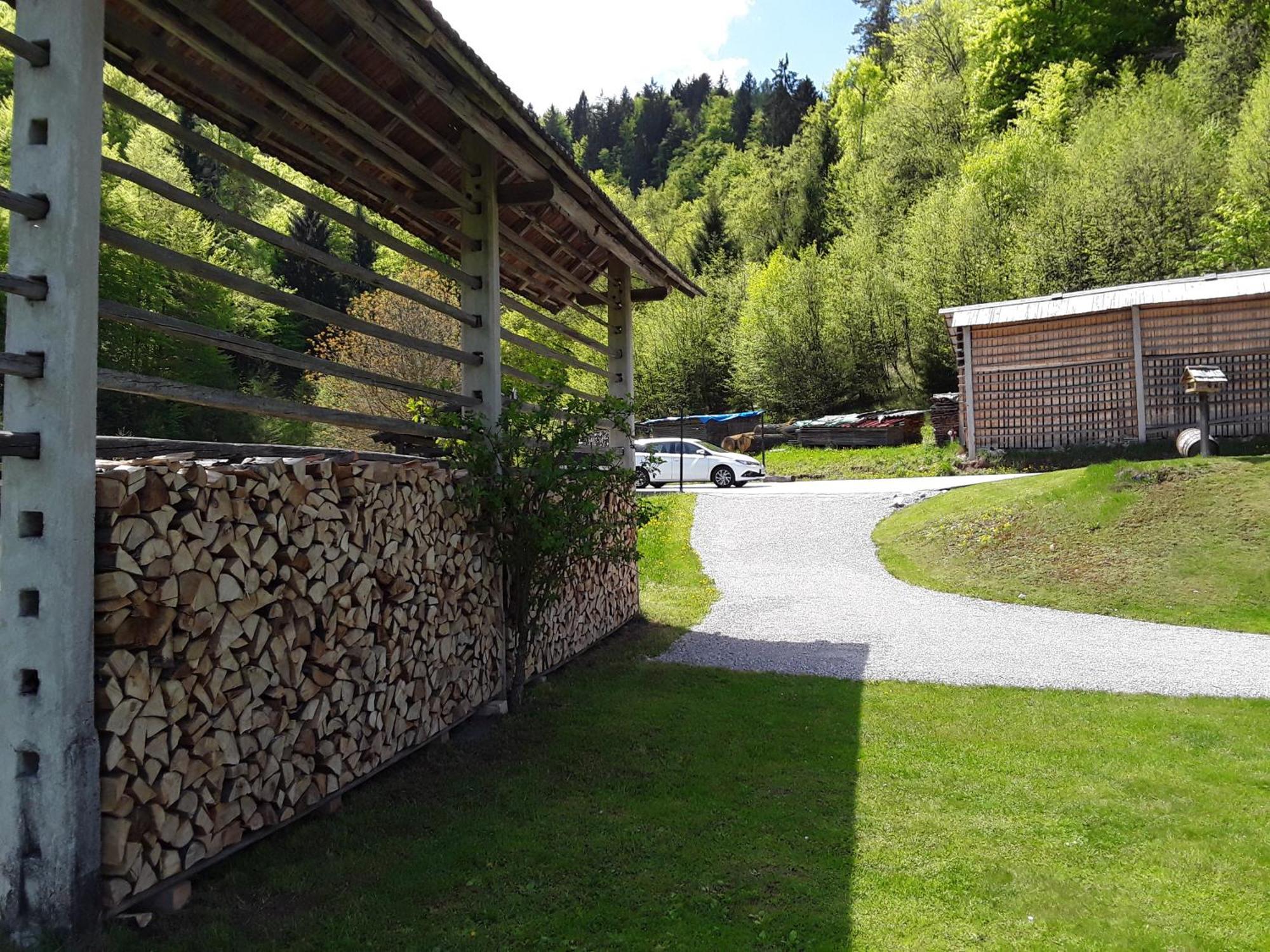 Apartment Natur Bled Kültér fotó